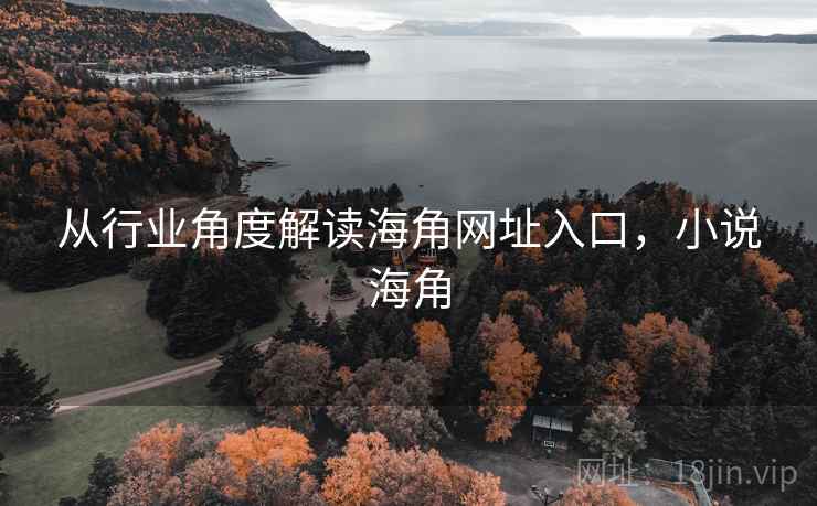 从行业角度解读海角网址入口，小说海角