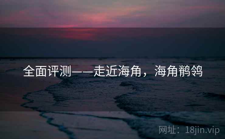 全面评测——走近海角,海角鹡鸰 全面评测——走近海角,海角鹡鸰