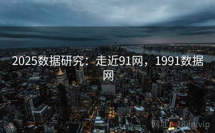 2025数据研究：走近91网，1991数据网