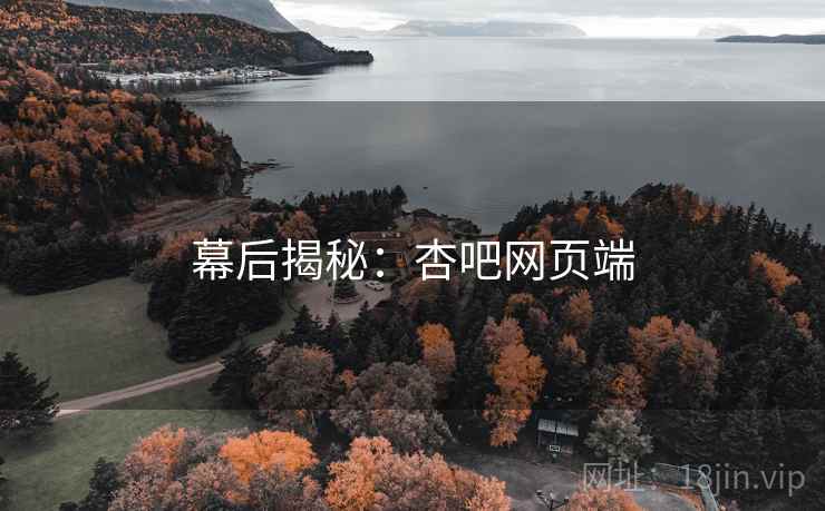 幕后揭秘：杏吧网页端