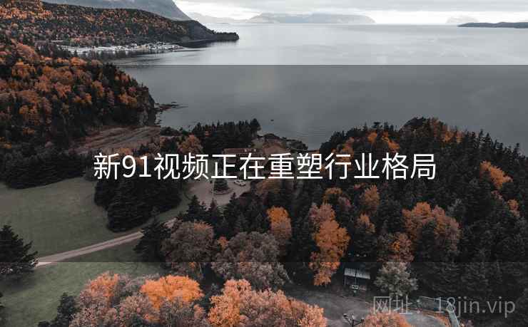新91视频正在重塑行业格局